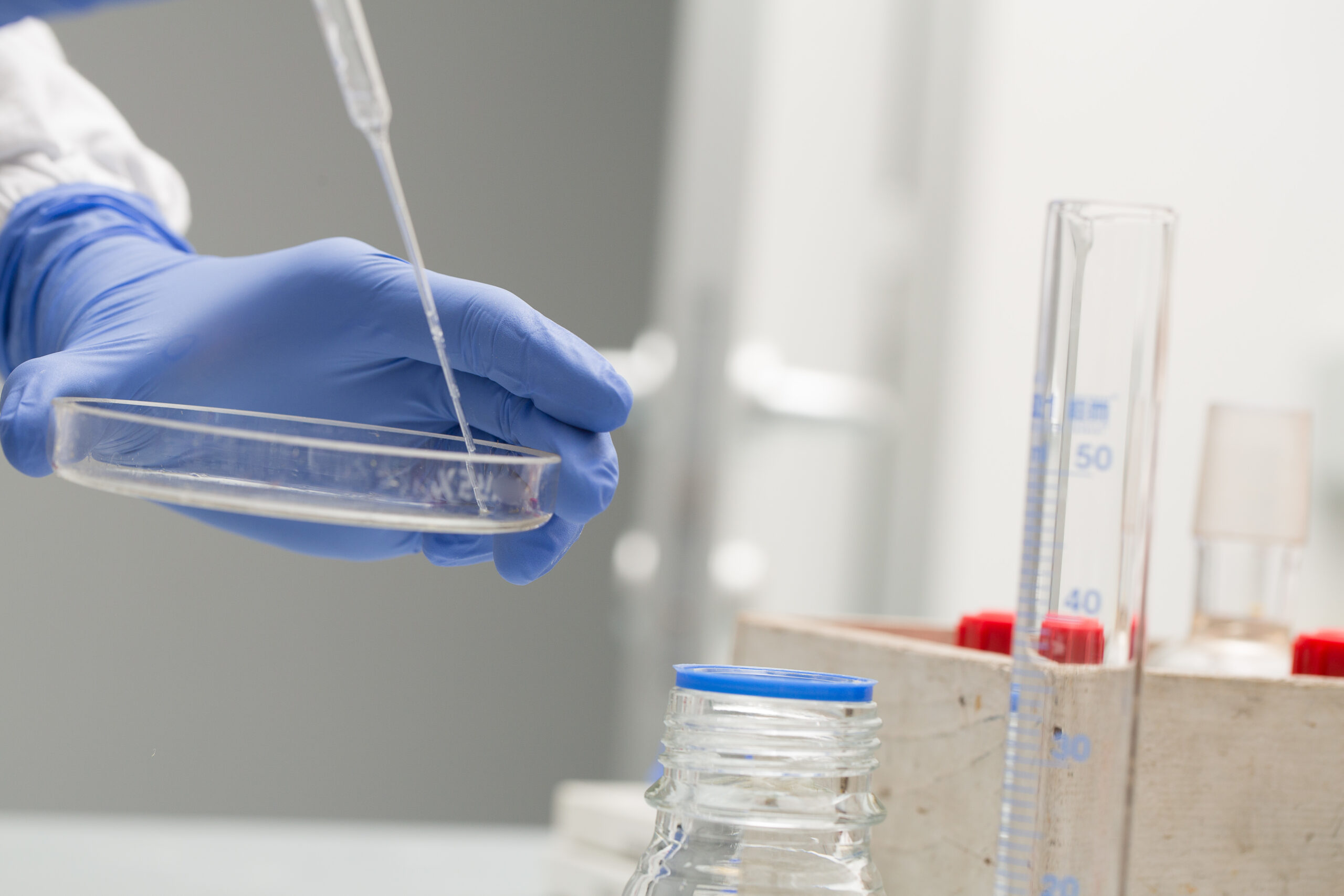 Program dotyczący in vitro w Krakowie budzi liczne wątpliwości. Analiza Ordo Iuris