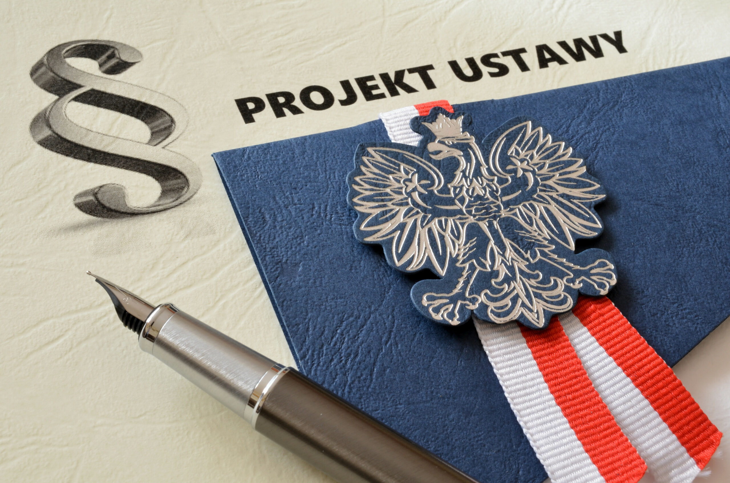 Projekt zmian w regulacjach dotyczących przemocy domowej – niejednorodny pakiet dobrych i wątpliwych nowelizacji