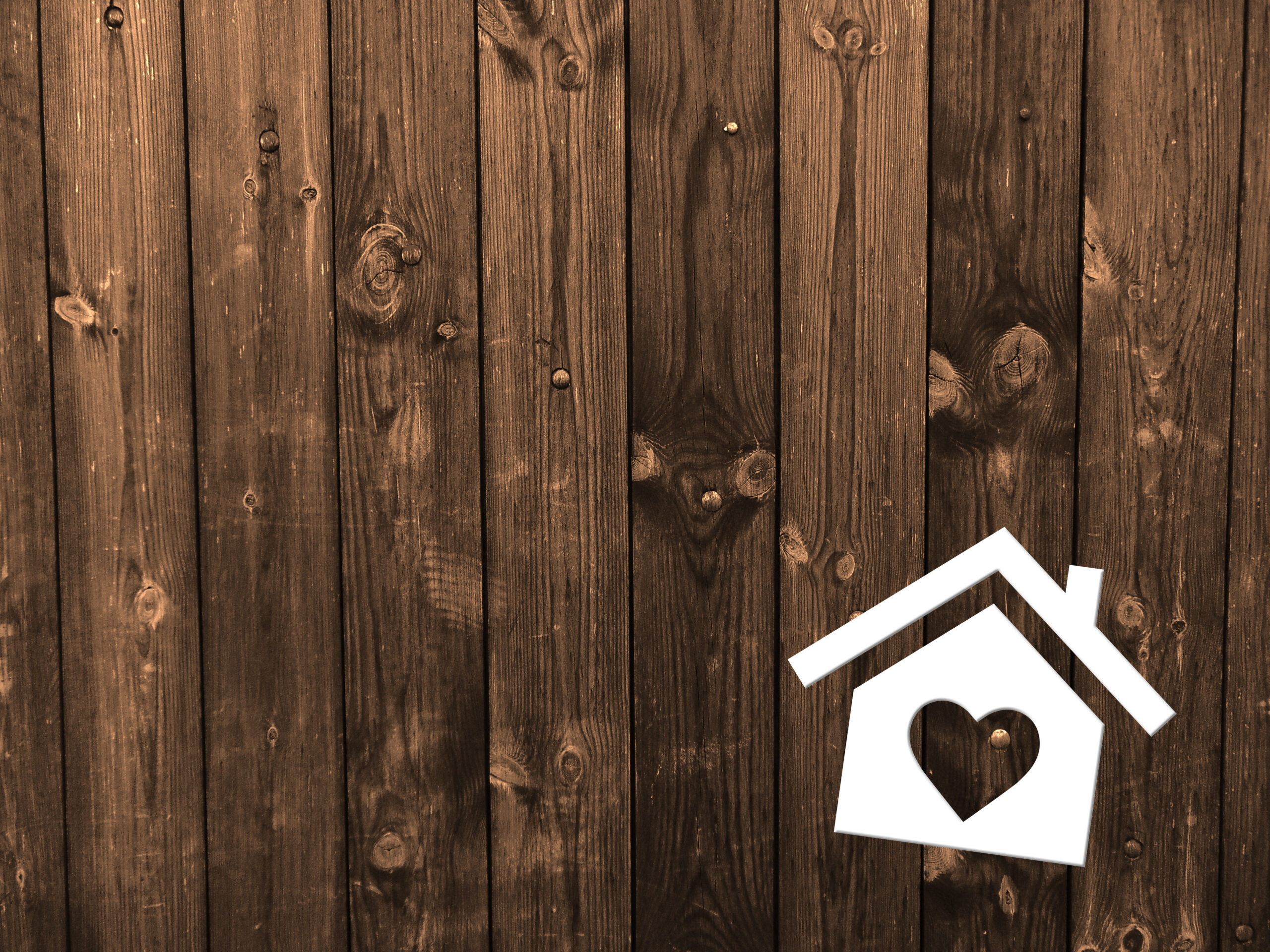 Pięcioro dzieci wraca do matki, dzięki interwencji Ordo Iuris