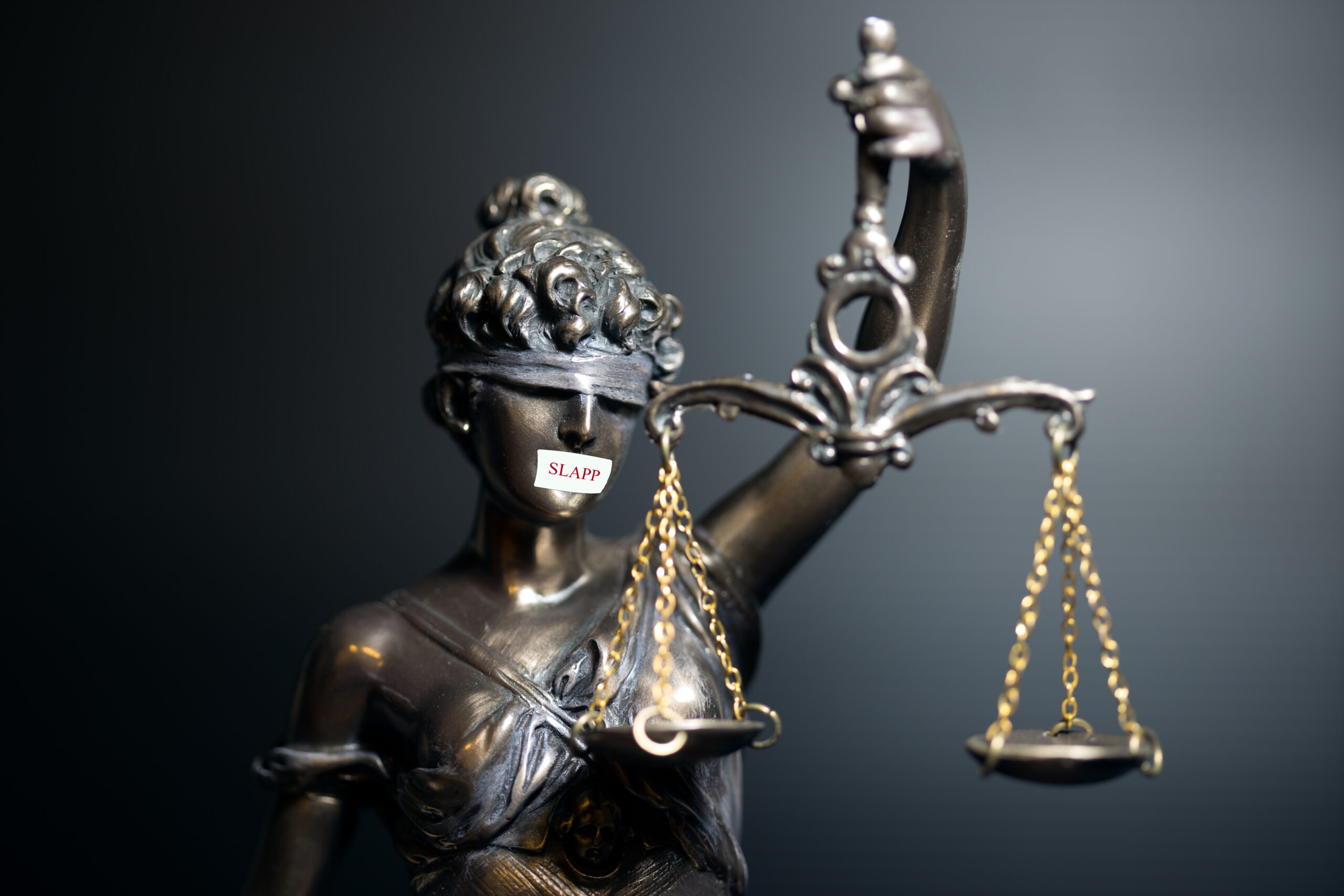 Dyrektywa anty-SLAPP może się przyczynić do tłumienia debaty publicznej