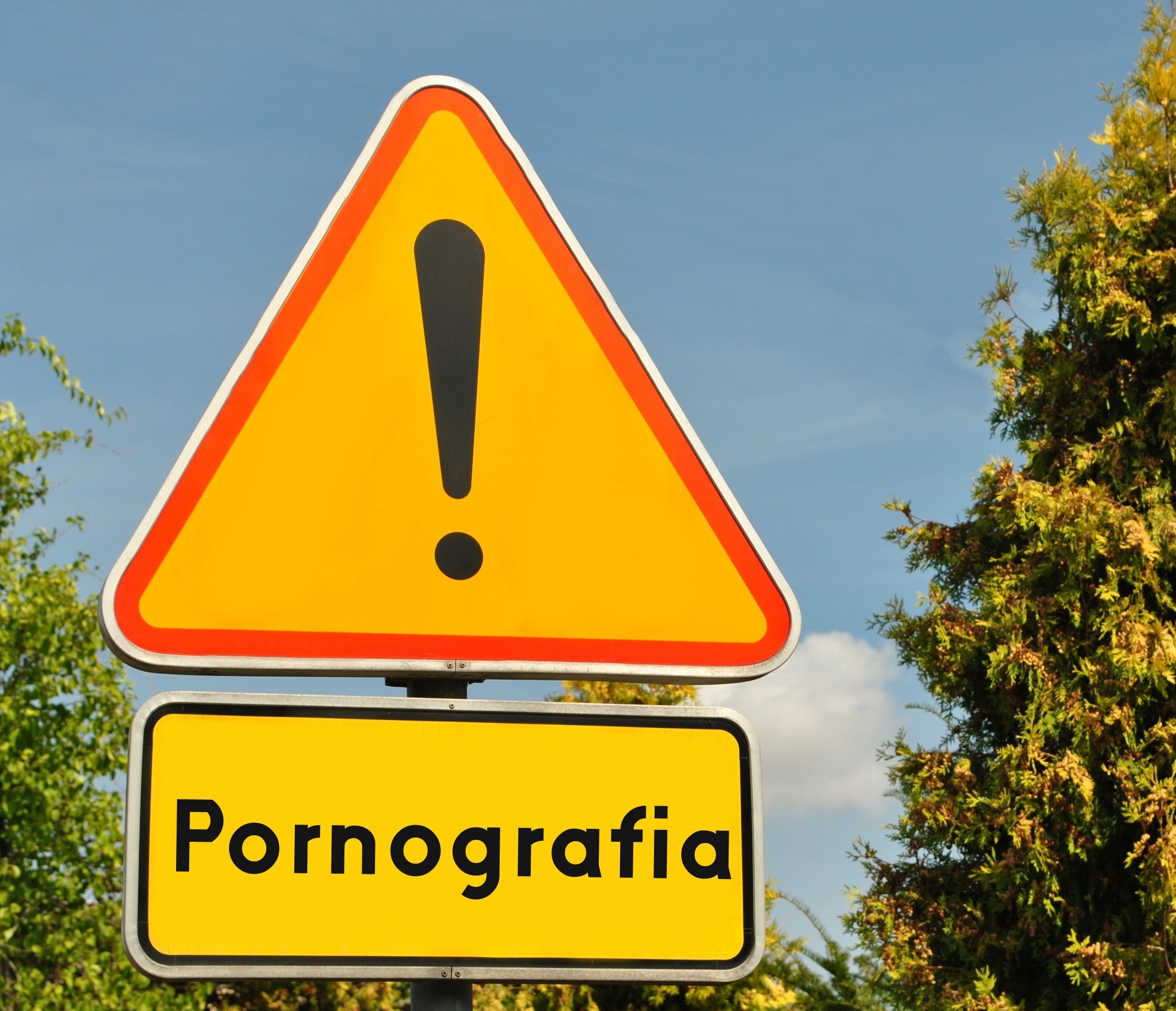 Chronić dzieci przed pornografią: zbiórka podpisów pod inicjatywą obywatelską rozpoczęta