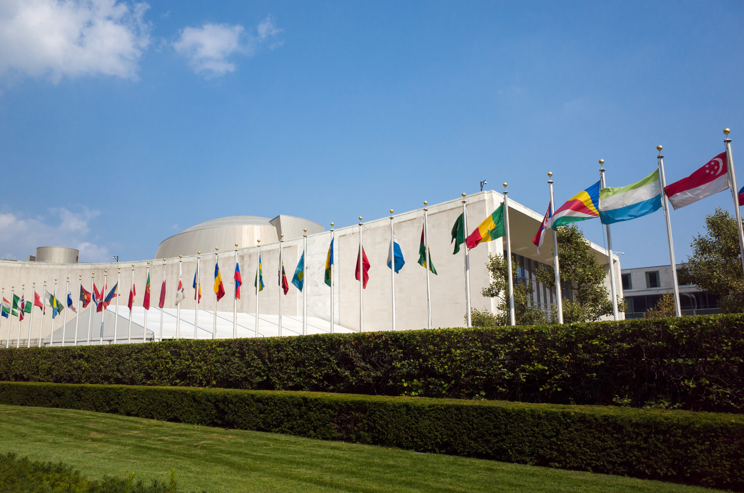 The Convention on the Rights of the Family presented in the UN