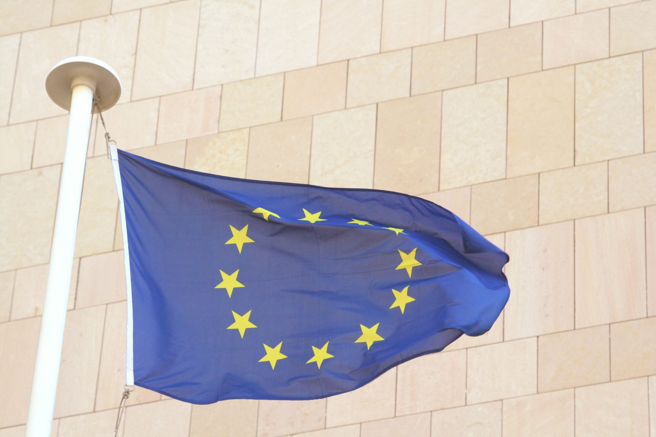 European Parliament demands Poland withdraw ban on eugenic abortion – EP annual report