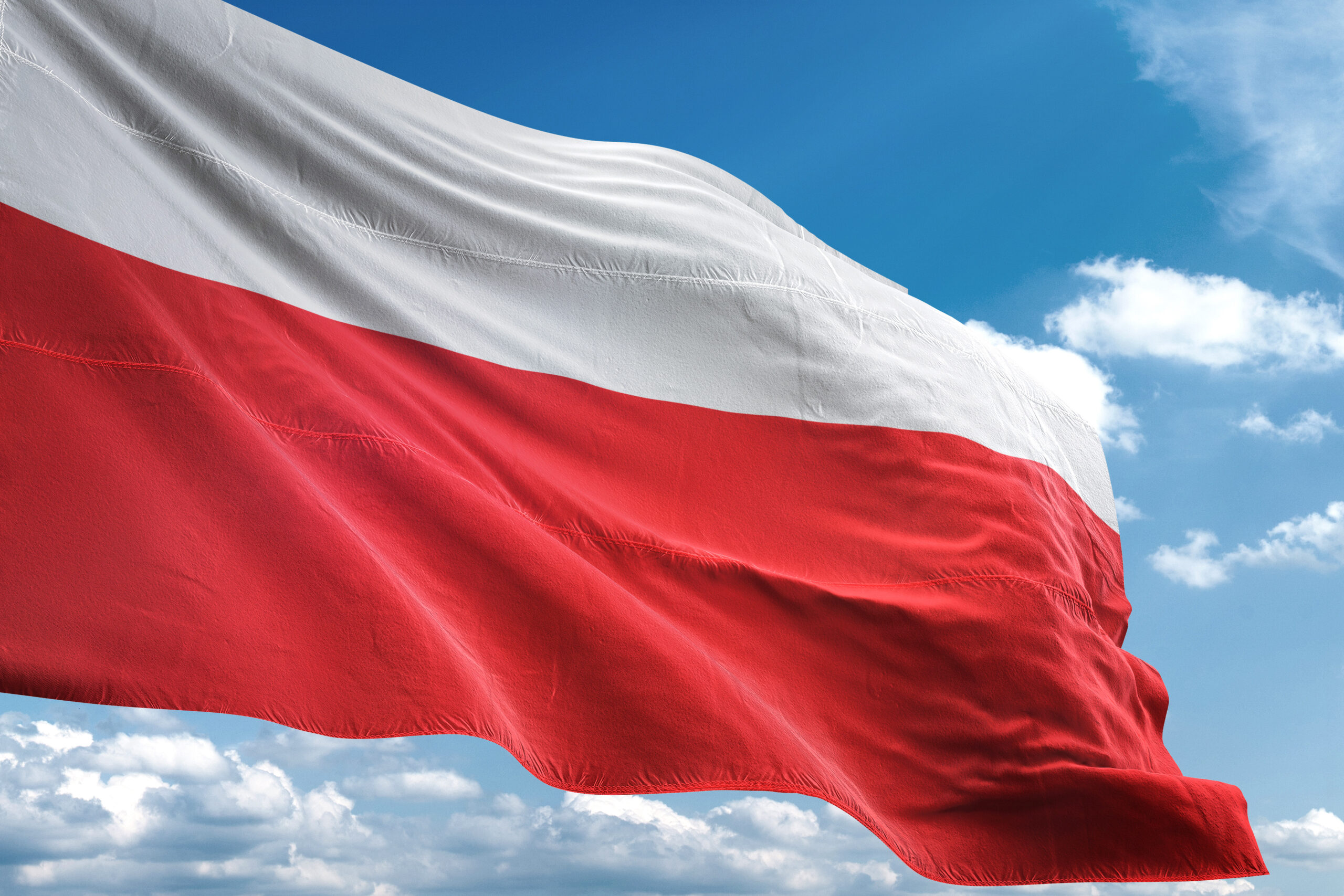 Ordo Iuris protects the good name of Poland. Lawsuits against authors of defamation and a report rectifying misinformation