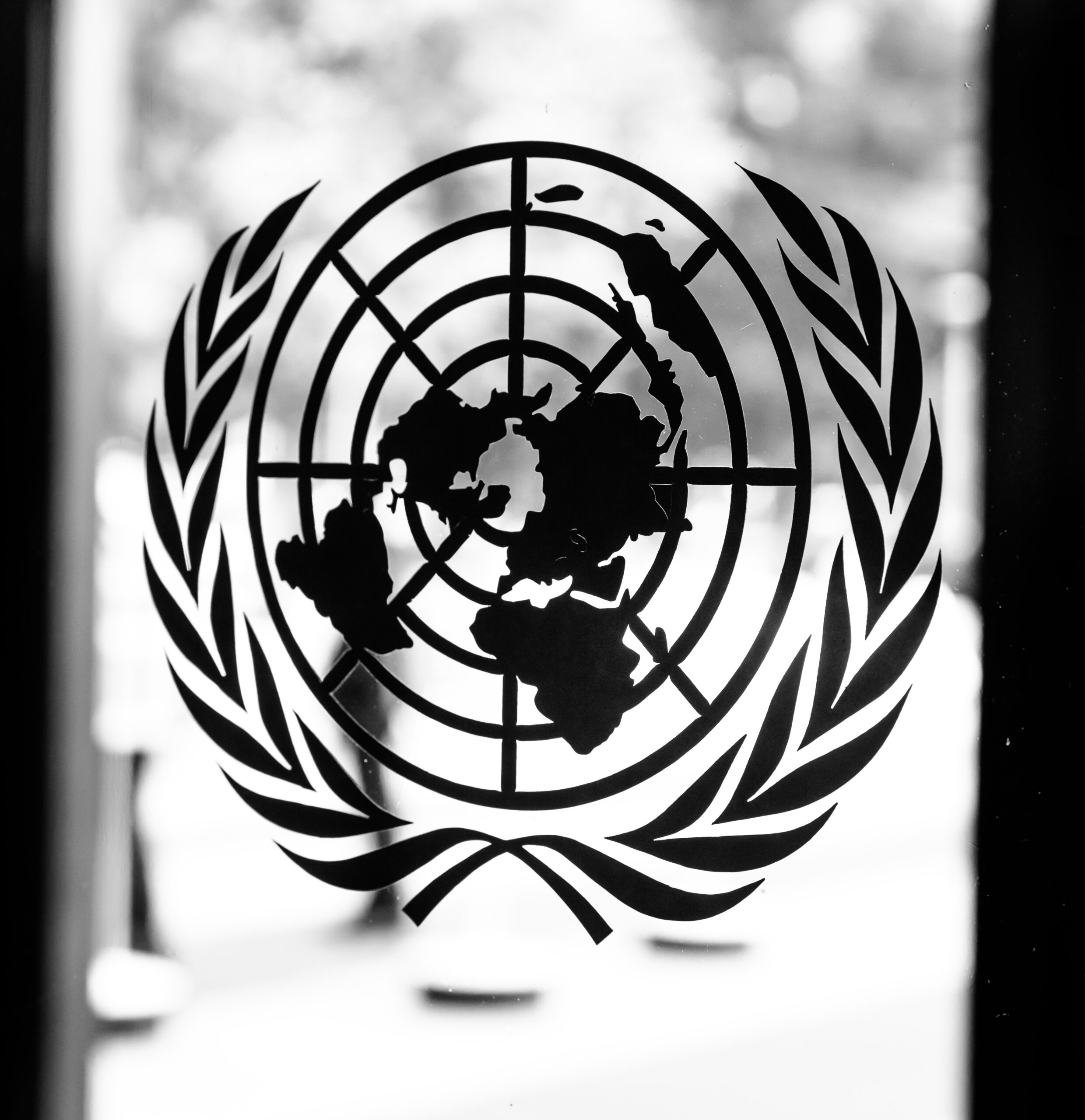 The United Nations Population Fund (UNFPA) Strategic Plan includes promotion of abortion