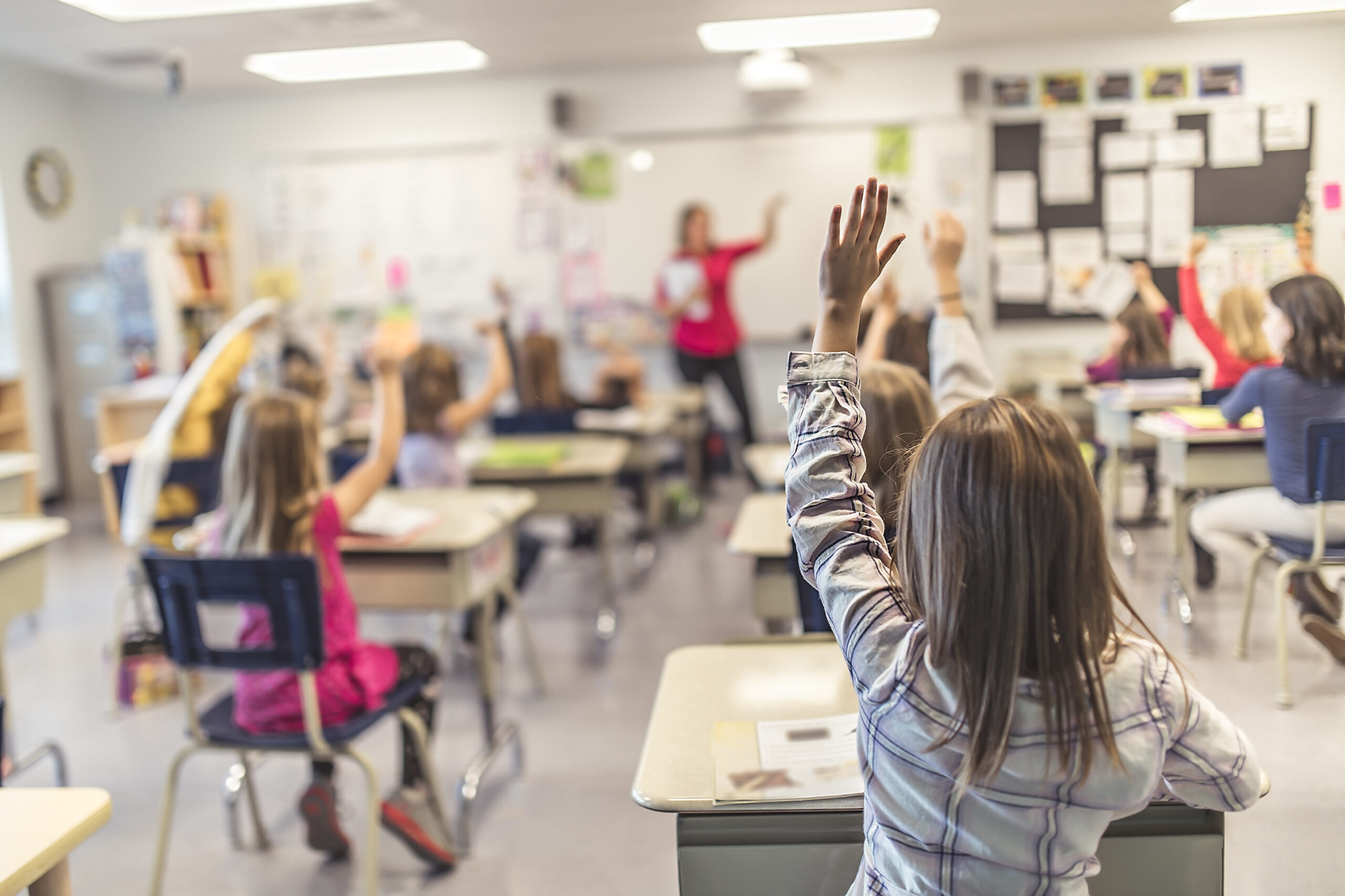 Negative consequences of permissive sex education – Ordo Iuris report