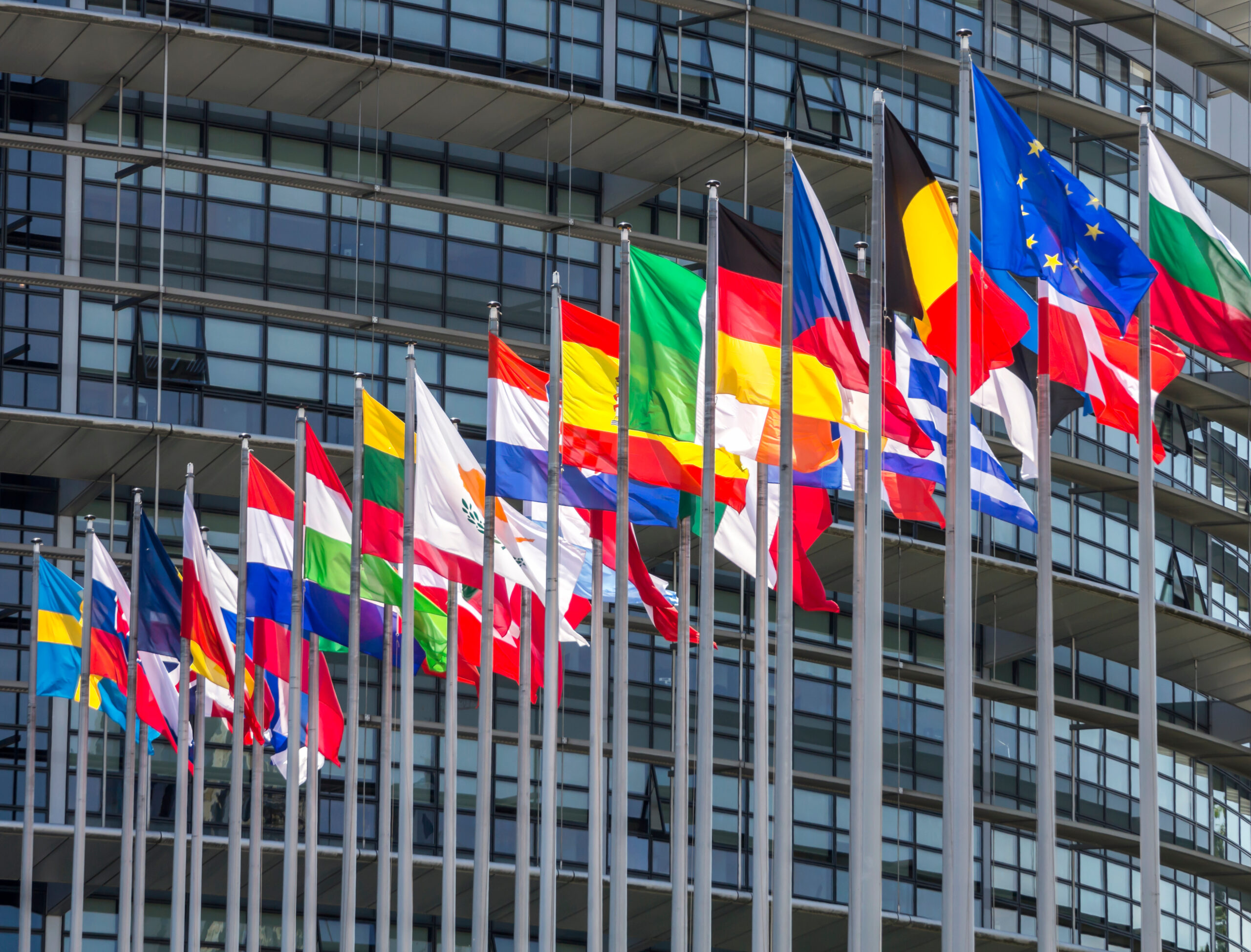 Anna Kubacka: The war does not prevent the European People’s Party from demanding sanctions against Poland