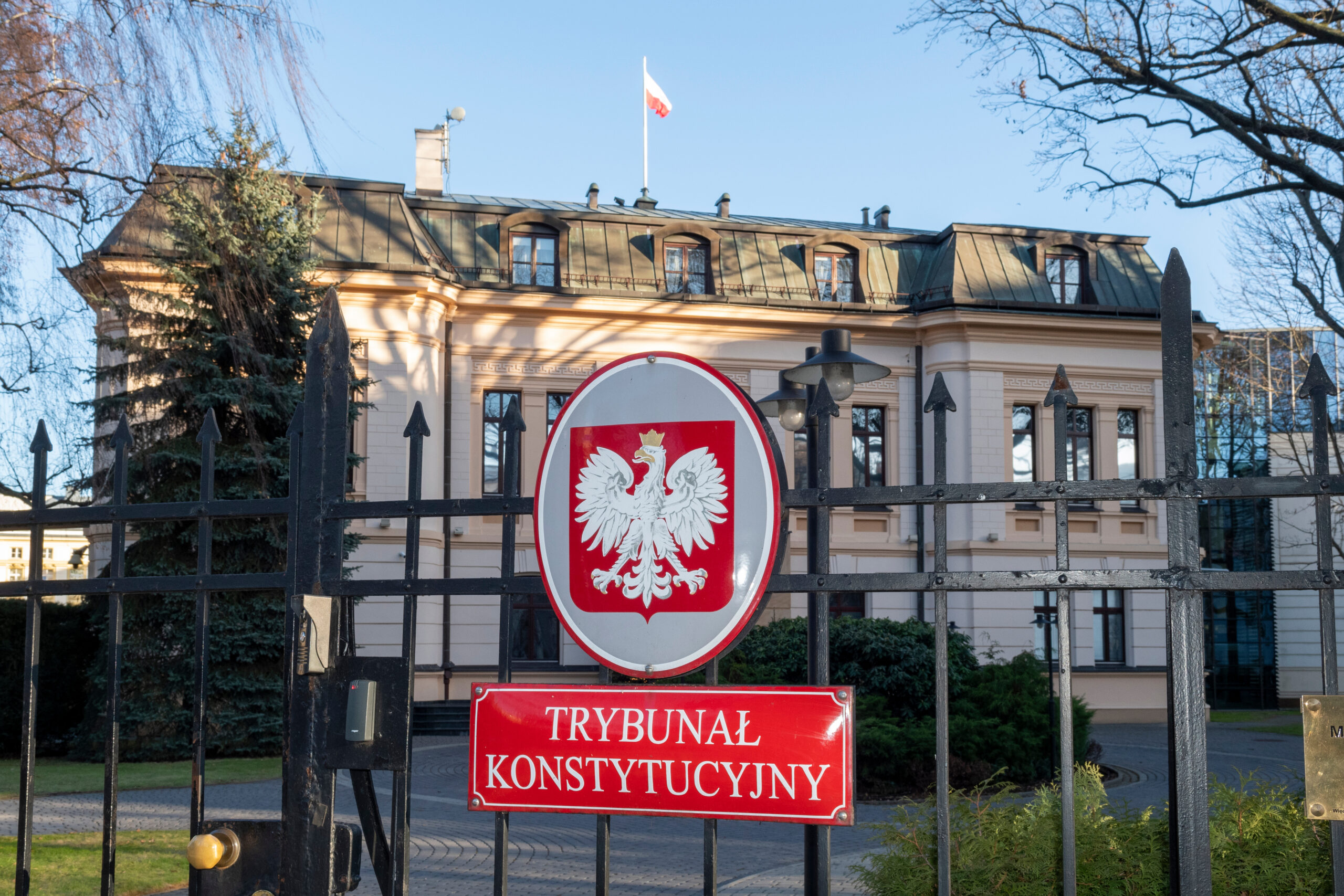 American- Israeli scientist files his opinion to Constitutional Tribunal in Istanbul Convention case