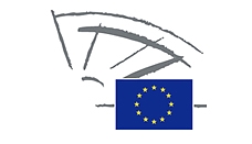 The Estrela report will be voted in FEMM on the 26th of November