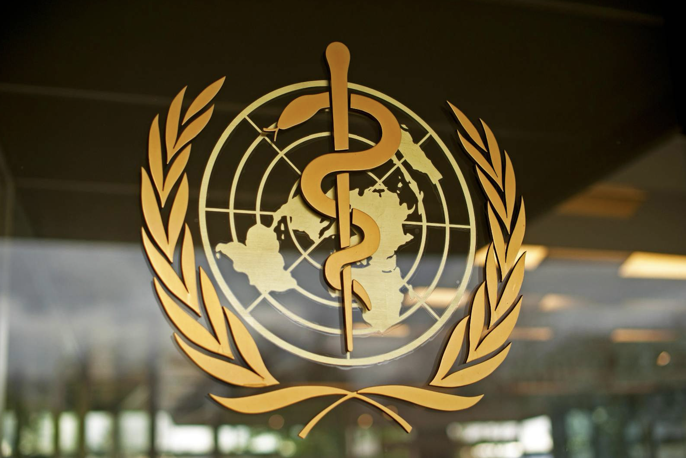 Polska ma coraz mniej czasu na odrzucenie poprawek do Międzynarodowych Przepisów Zdrowotnych lub zgłoszenie zastrzeżeń