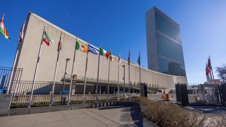 UN Resolution Stripped of Ideological Wording: Historic Victory for Pro-Family Forces