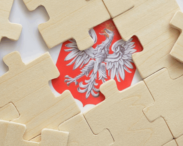 OSCE Observers Note Foreign Interference in Favor of Liberal Candidate in Polish Election