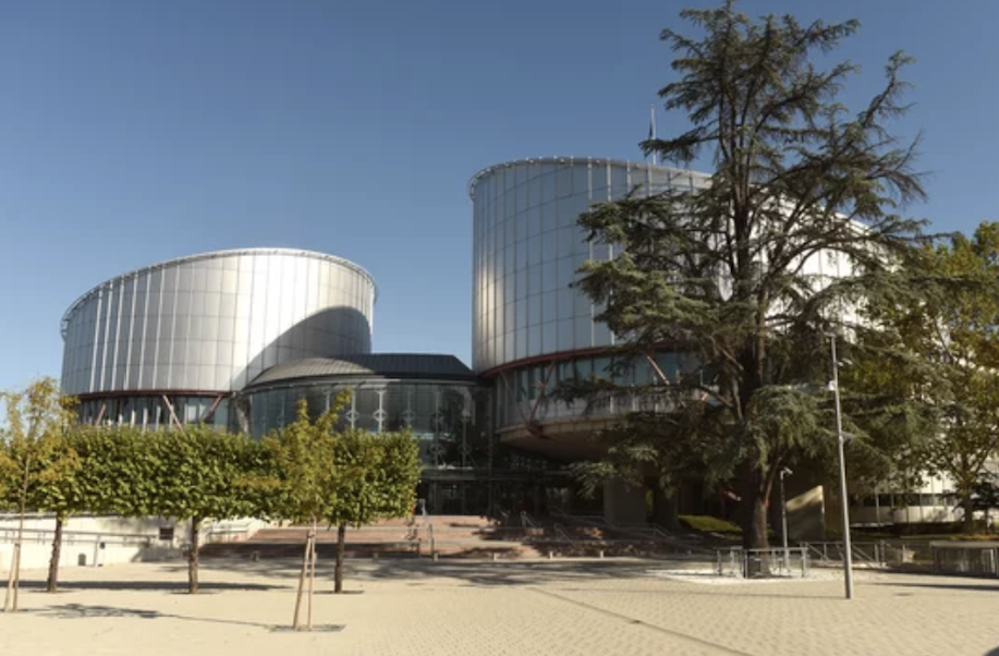 Związki jednopłciowe, imigracja, sądownictwo – Trybunał w Strasburgu w ogniu krytyki