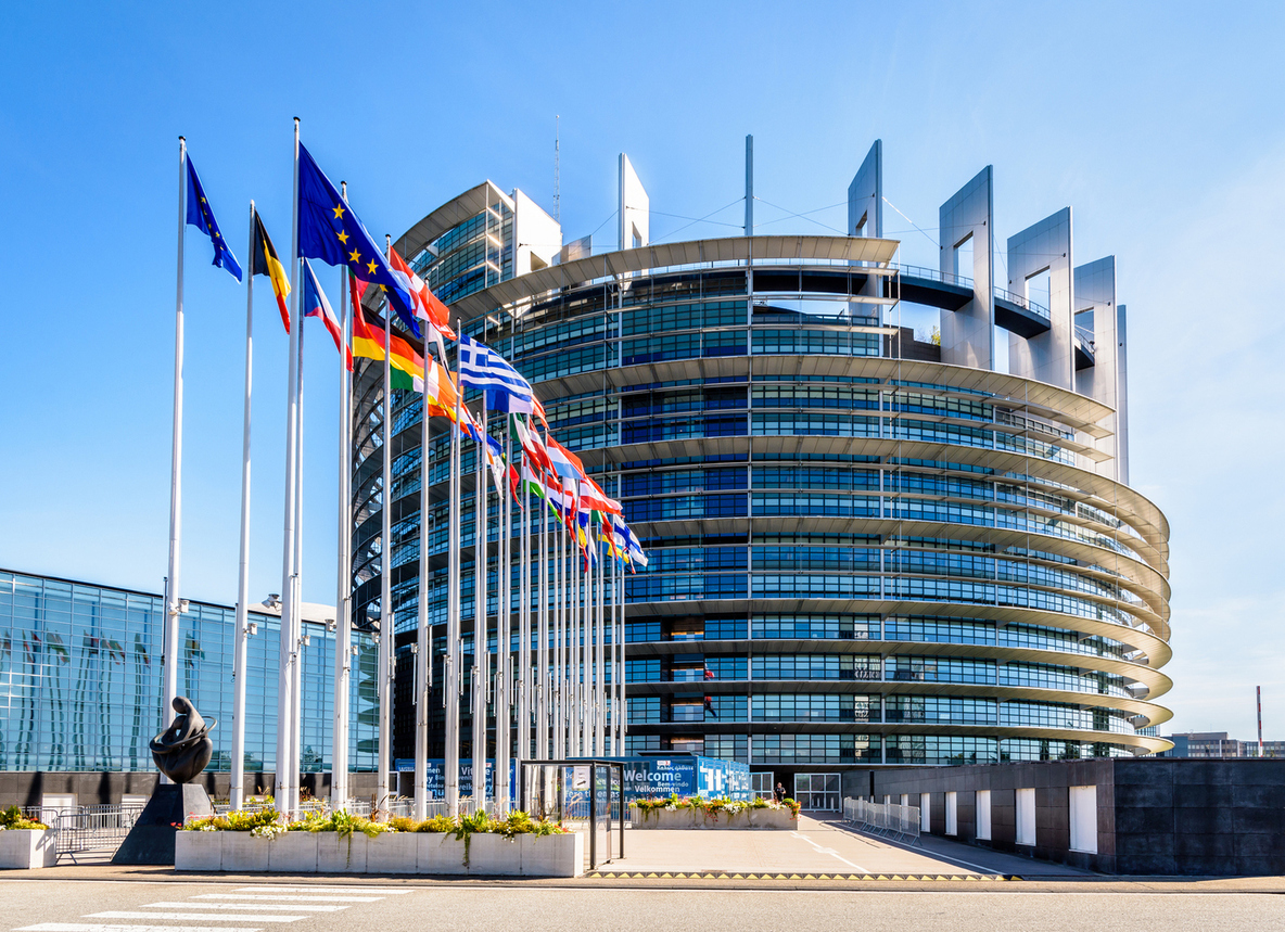 European Parliament Condemns Surrogacy but Calls Lack of Abortion Access a Form of Violence